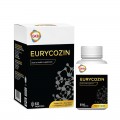 GKB Eurycozin 60s 500mg (MAL18036127N)