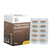 GKB Tiger Milk Mushroom (MAL17117005T)